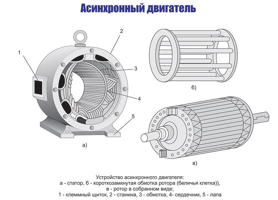  Асинхронный двигатель