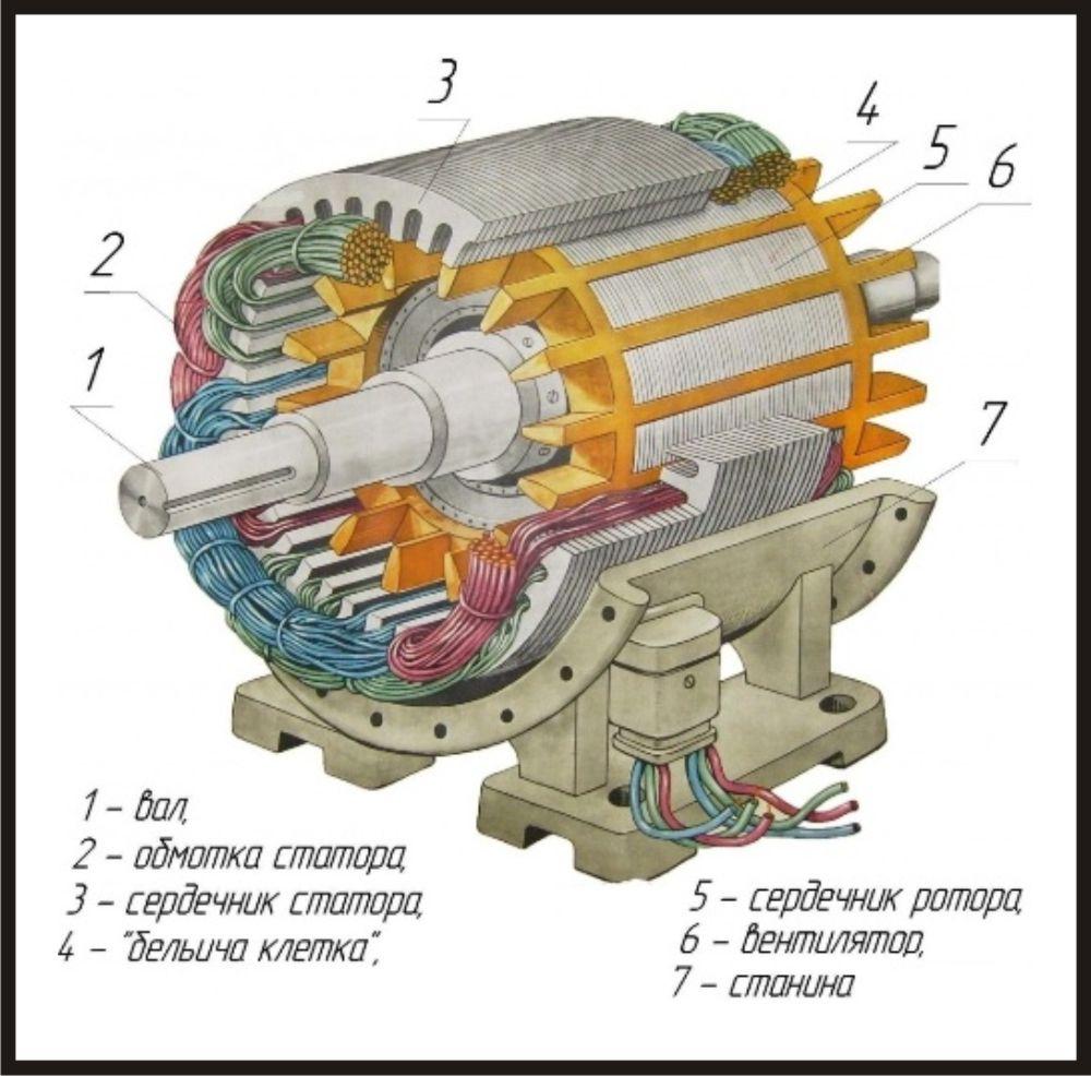 Разрез асинхронного двигателя