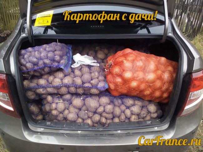 Багажник Лада Гранта загружен картошкой